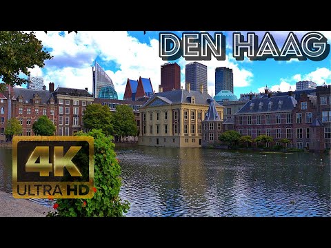 4K Walking Tour | Den Haag | The Hague The Netherlands 🇳🇱 Summer August 2023 ☀ HLG HDR