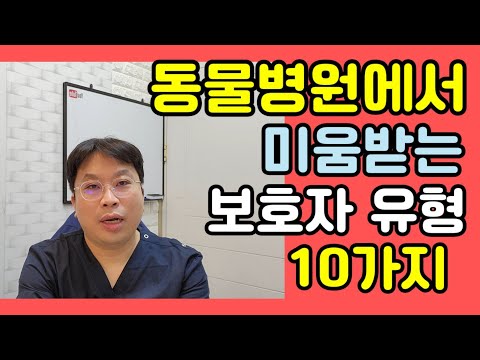 동물병원에서 미움받는 보호자 유형 10가지