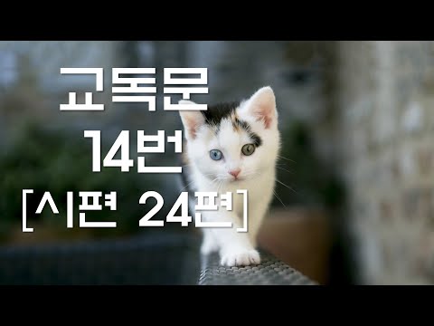 교독문낭독 14번 시편 24편  [Heritage of faith]