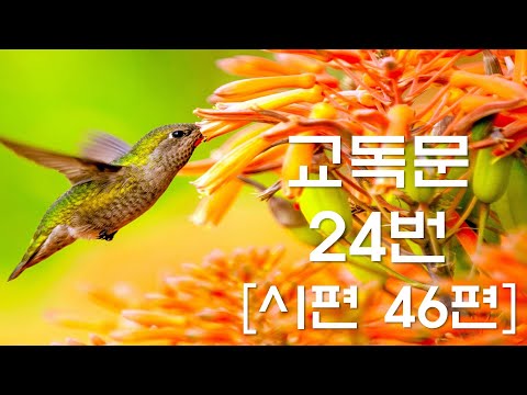 교독문낭독 24번 시편 46편 [Heritage of faith]