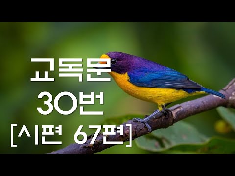 교독문낭독 30번 시편 67편 [Heritage of faith]