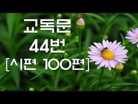 교독문낭독 44번 시편 100편 [Heritage of faith]