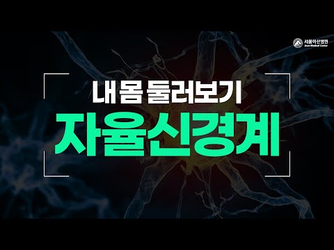 자율신경계 [내 몸 둘러보기]