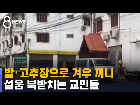 거리로 내몰리고 불법체류 전락…벼랑 끝 교민들 / SBS