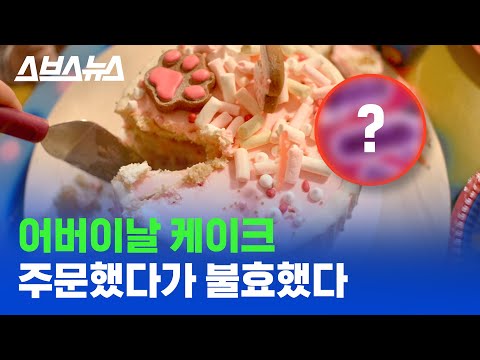 기념일에 레터링 케이크 주문할 때 조심해야 하는 것 / 스브스뉴스