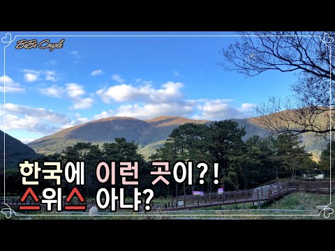 SUB)[커플Vlog]광주 근교 드라이브|힐링 드라이브|화순|리코카페|수만리빵집|수만리 생태공원