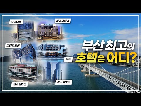 특급호텔 전쟁터 부산 바닷가⛵그중 1등은 어디? | 시그니엘vs힐튼vs파라다이스vs웨스틴조선vs파크하얏트vs그랜드조선