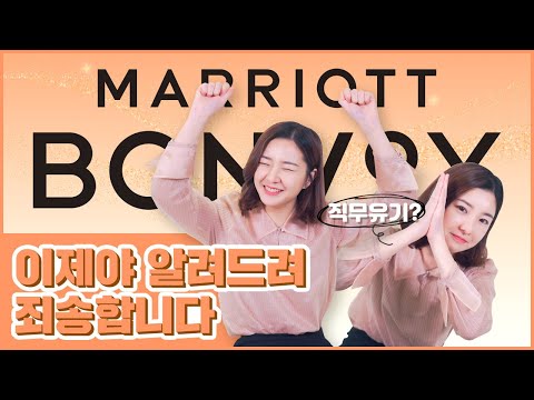 이러고도 호텔 리뷰어냐🙇‍♀️! 사죄의 마음 담아 '메리어트 본보이 멤버십' 혜택 대방출✨