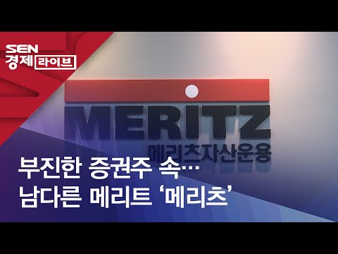 부진한 증권주 속…남다른 메리트 ‘메리츠’