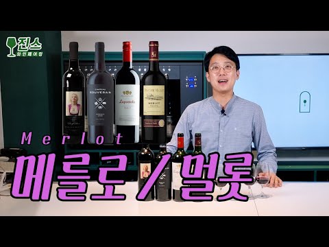 메를로, 멜롯 (Merlot) ㅣ같은품종 다른느낌 4종 국가별 비교 와인 테이스팅 ㅣ품종별 취향찾기