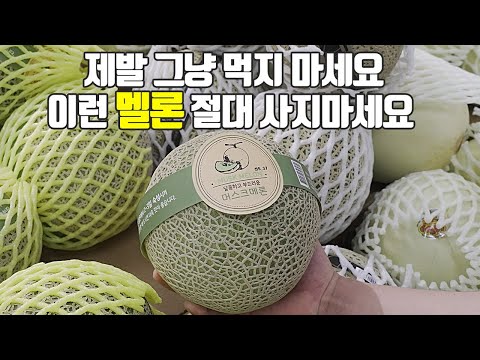 멜론의 모든것! 이것만 숙지하세요 효능, 고르는 법, 보관법, 후숙법