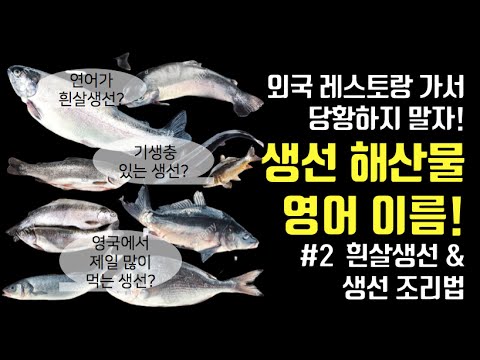 김수영TV ♥ 생선 해산물 영어 이름 총정리 #2 흰살생선 + 생선 조리법