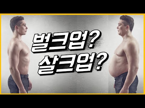 벌크업의 완벽한 정의ㅣ메루치양식장