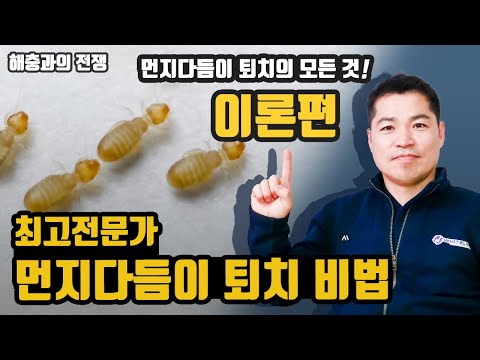 [먼지다듬이와의 전쟁] 먼지다듬이 퇴치 비법 공개! 대한민국 최고 전문가가 알려드립니다!