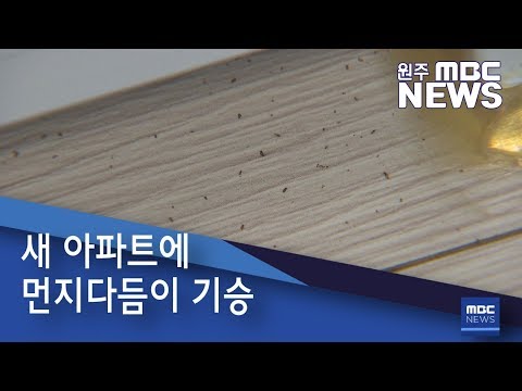 2019. 7. 30 [원주MBC] 새 아파트에 먼지다듬이 기승