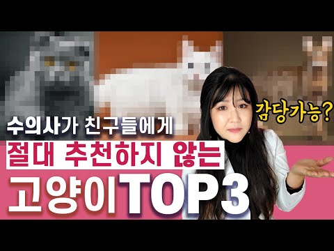 수의사가 친구들에게 절대 추천하지 않는 고양이 TOP3 ㅣ 고양이 종류별 질병과 단점