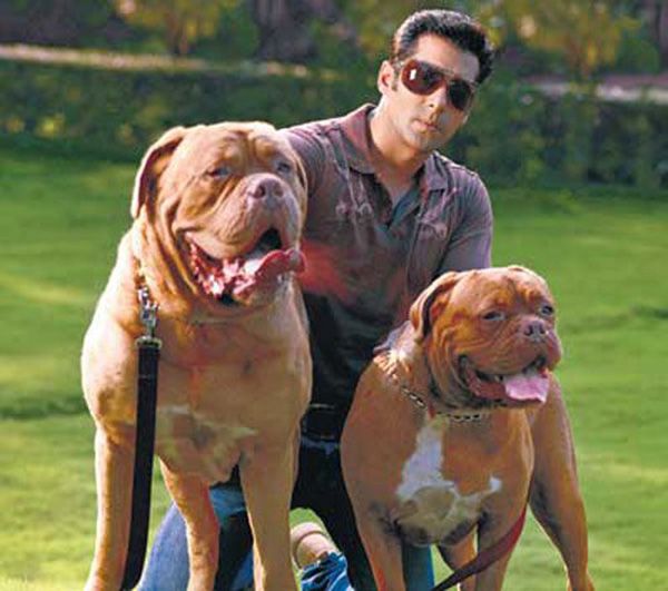 13 Bollywood Celebrities And Their Dogs! | Dogspot.In