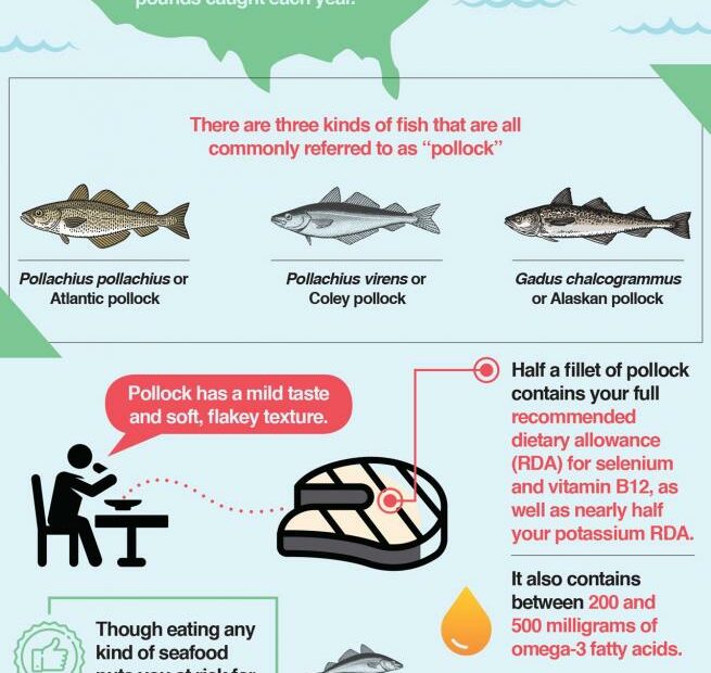 Pollock 101: Fish Nutrition Facts, Precautions, Health Benefits – The Amino  Company