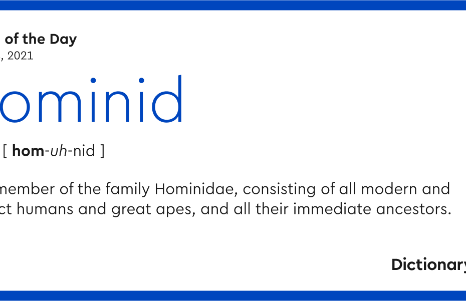 Word Of The Day - Hominid | Dictionary.Com