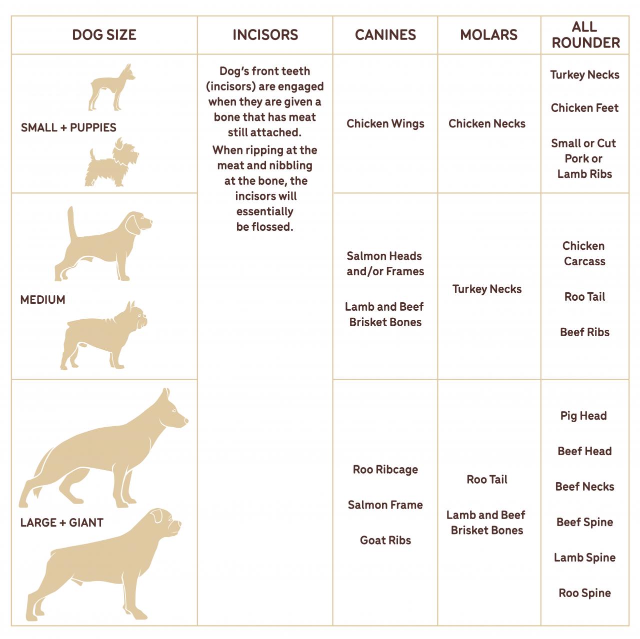 Can Bones Be Fed To Your Pet? - Guides | Big Dog Pet Foods