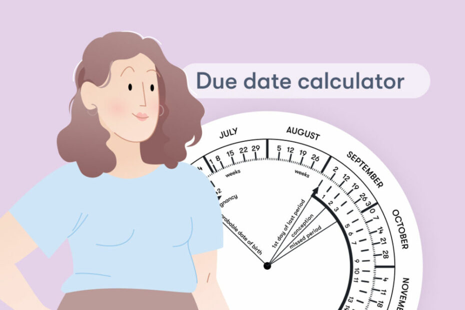 Pregnancy Due Date Calculator - Flo