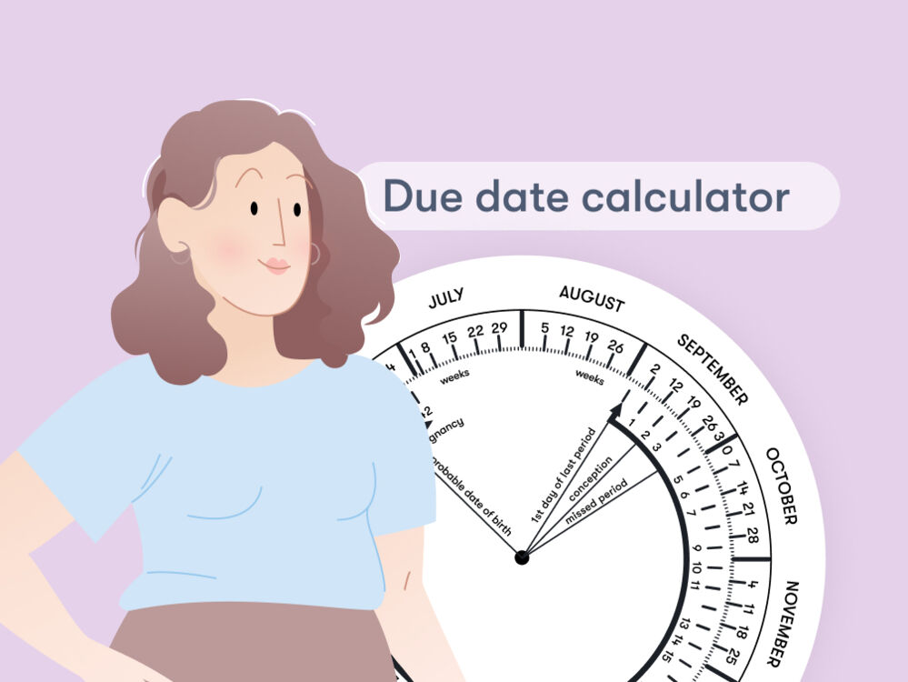 Pregnancy Due Date Calculator - Flo