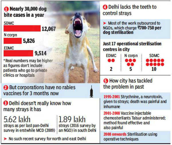 1,000 People At Delhi'S Rml For Anti-Rabies Shot. Here'S Why | Delhi News -  Times Of India