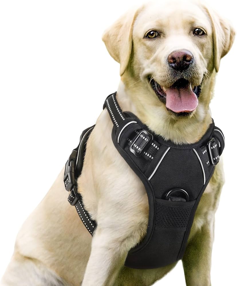 Amazon.Com : Rabbitgoo Dog Harness, No-Pull Pet Harness With 2 Leash Clips,  Adjustable Soft Padded Dog Vest, Reflective No-Choke Pet Oxford Vest With  Easy Control Handle For Large Dogs, Black, L :