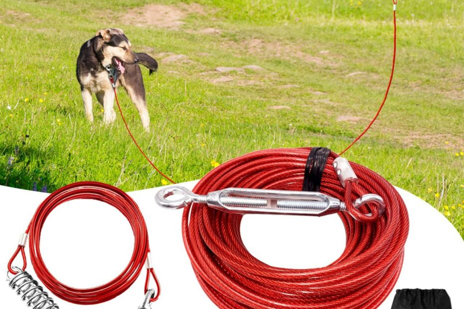 Dog Leads For Yard, Trolley Cable Tie Out For Dogs Zip Line 100 Ft With 10  Ft Pully Chain For Dogs Up To 125 Lbs, Outside Dog Leash Cable, Red -  Walmart.Com