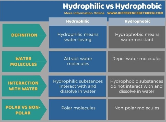 Difference Between Hydrophilic And Hydrophobic | Compare The Difference  Between Similar Terms