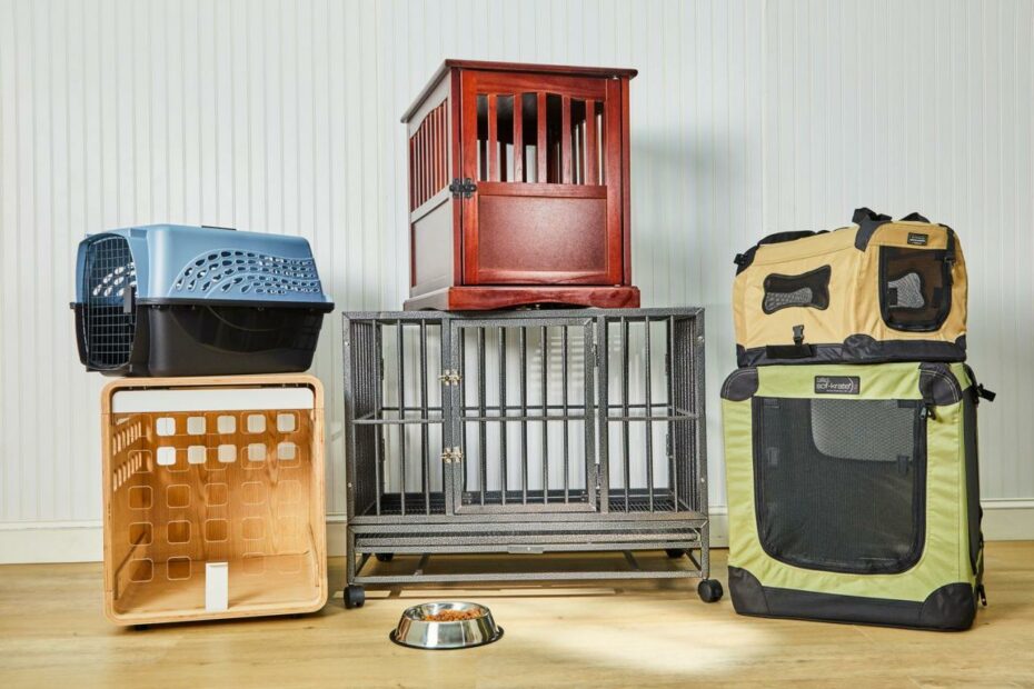 The 9 Best Dog Crates Of 2023, Tested And Reviewed