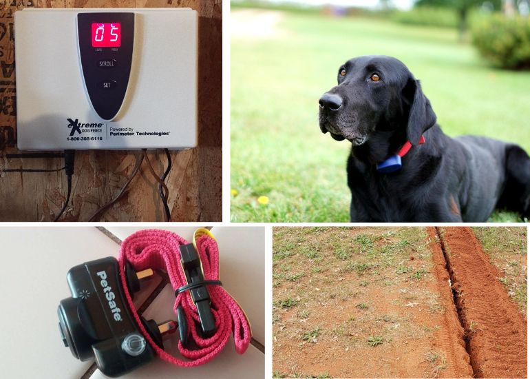 How To Install An Electric Dog Fence? A Complete Guide - Waf