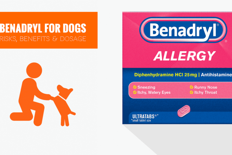 Benadryl For Dogs (Diphenhydramine) – Dosage, Safety & What To Give