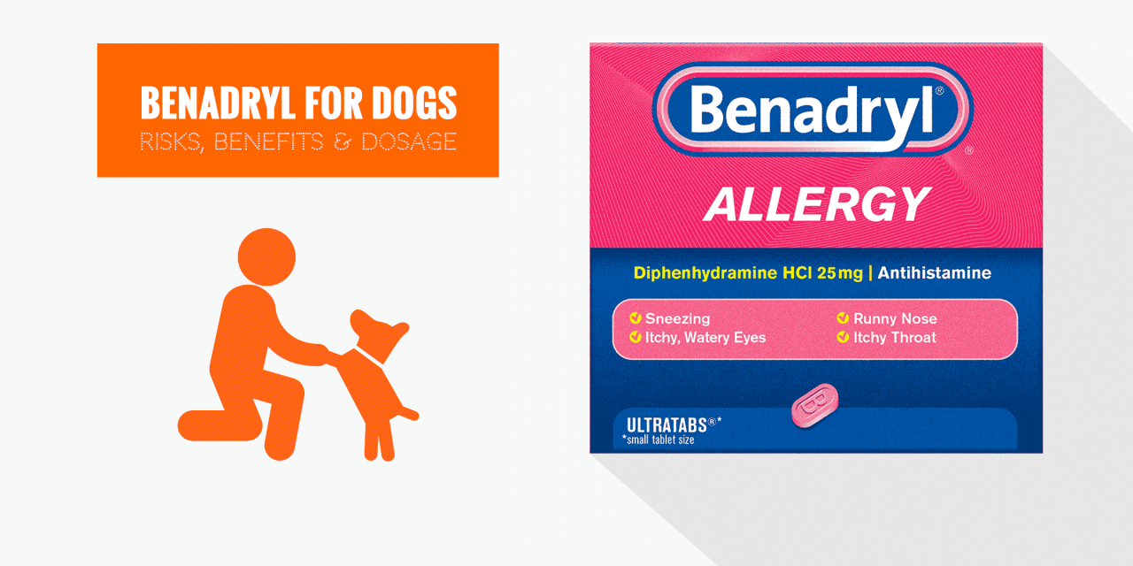 Benadryl For Dogs (Diphenhydramine) – Dosage, Safety & What To Give