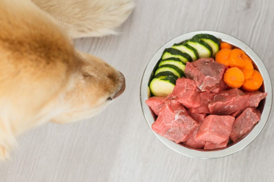 The Harmful Effects Of Feeding Your Dog A Raw Food Diet