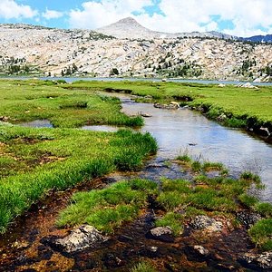 Tuolumne Meadows - All You Need To Know Before You Go (With Photos)