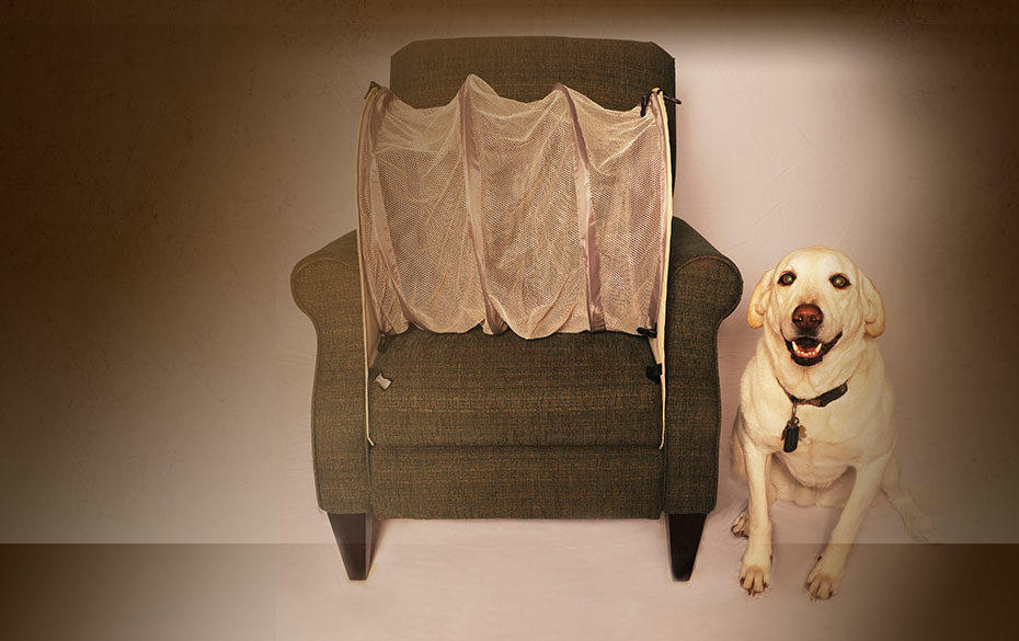 6 Ingenious Tips That'Ll Help You Keep Your Couch Pup Free - Bark Post