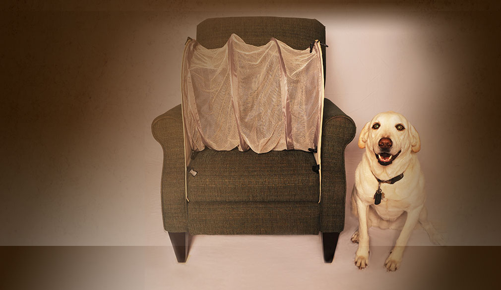 6 Ingenious Tips That'Ll Help You Keep Your Couch Pup Free - Bark Post