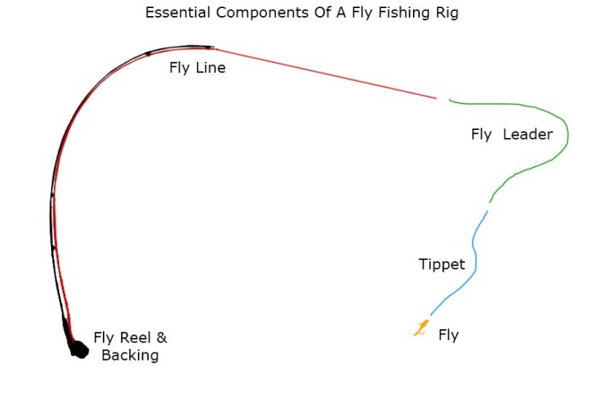 How To Match A Fly Rod, Fly Reel, Fly Line, Leader, And Tippet - Avidmax  Blog