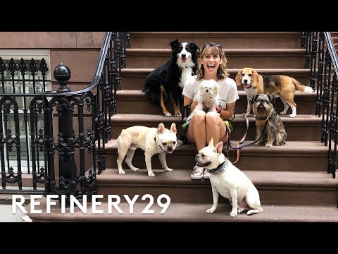 I Got Hired As A Dog Walker | Lucie For Hire | Refinery29