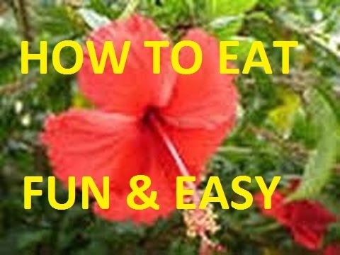 How To Eat Hibiscus Flowers - Youtube