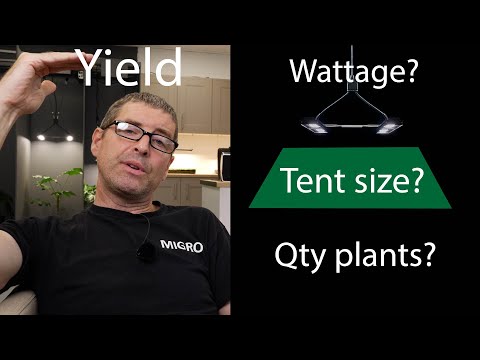 How much grow light do you need? Grow tent size | number of plants | yield per watt