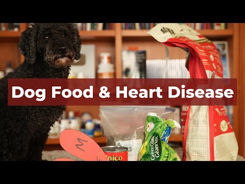 Is Grain Free Dog Food Still Causing Heart Disease?