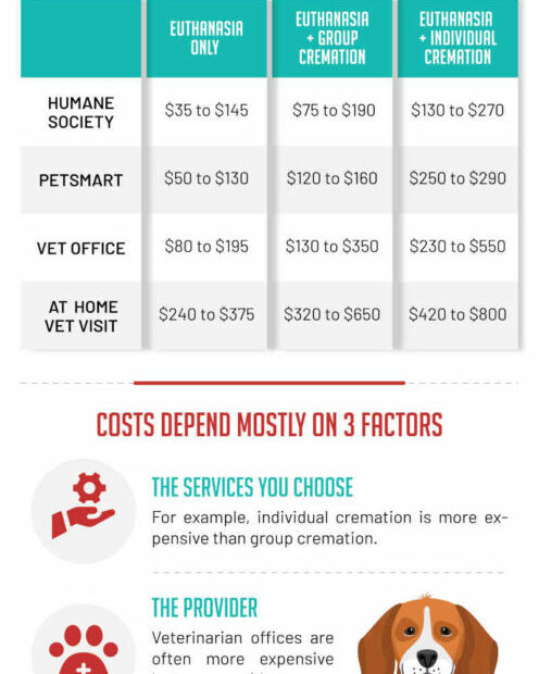 Dog Euthanasia Costs: $75 To $350 [By Provider & Weight]