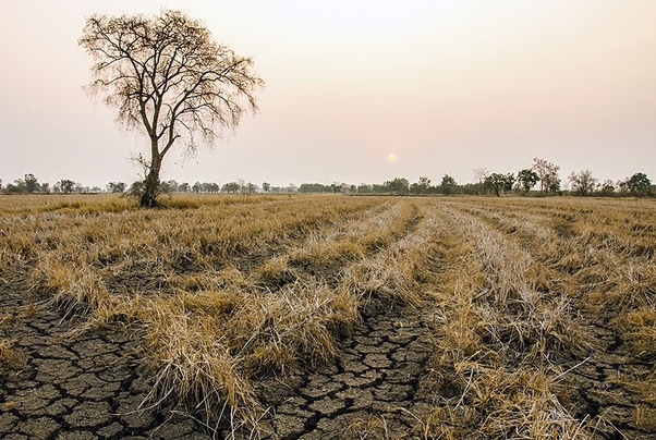 What Would Happen If No Rain Fell For 5 Years? - Quora