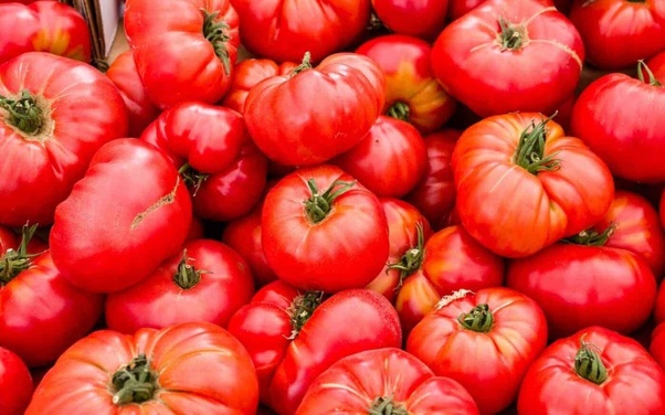 Why Do Some Tomatoes Taste Like Fish? - Quora