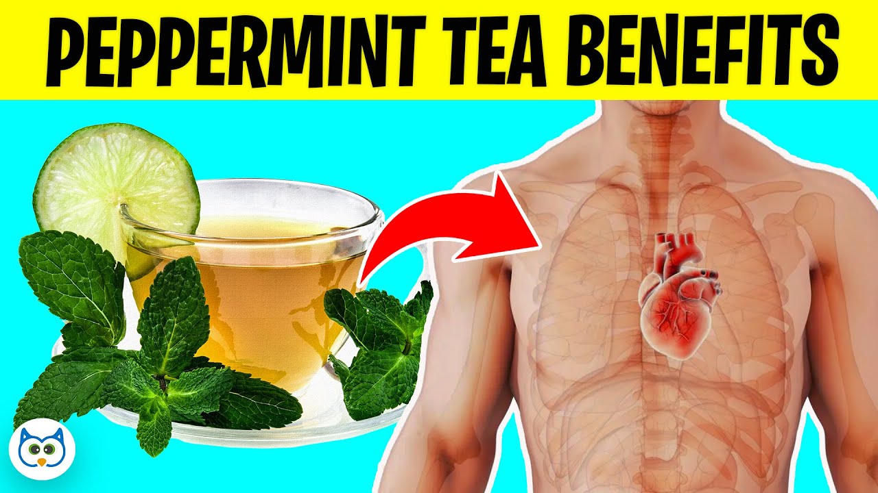 12 Health Benefits Of Peppermint Tea And How To Make It