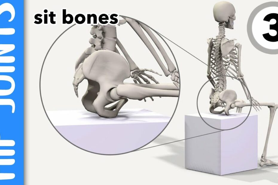 Where Are Your Hip Joints And Sit-Bones? Explained - Youtube