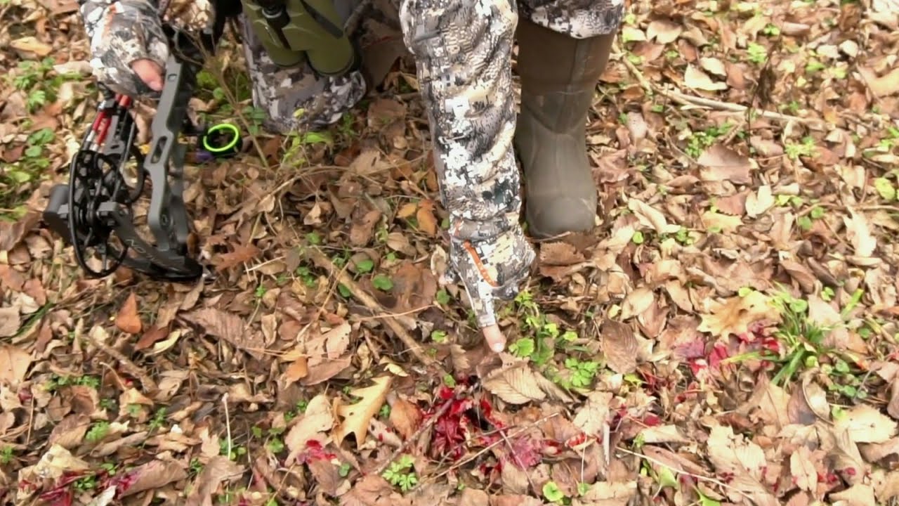 Whitetail Blood Tracking Guide | Whitetail Habitat Solutions