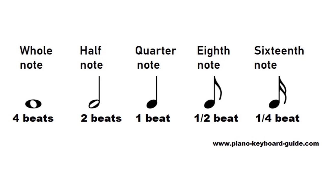 Note Values - Duration Of Notes (Music Theory) - Youtube